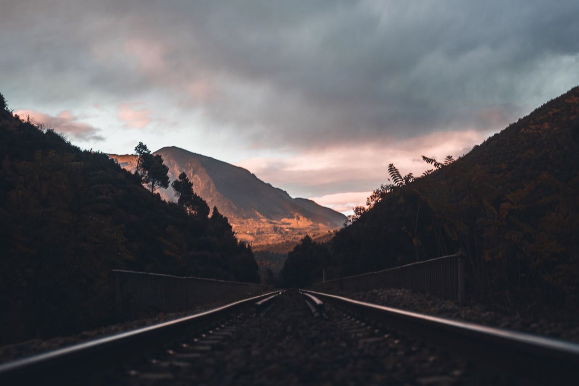 LS Focus On The Week Ahead